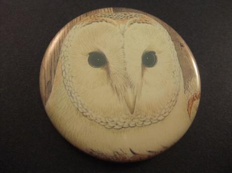 Uil nachtdier roofvogel, jacht